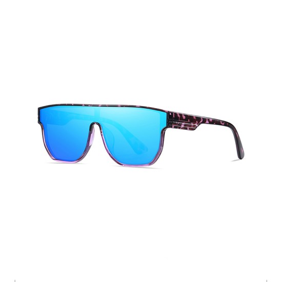 Luxury gradient polarized sunglasses
